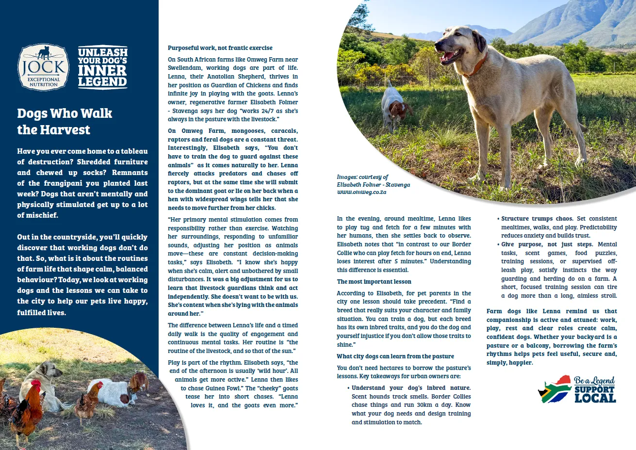 creative content and learning design studio